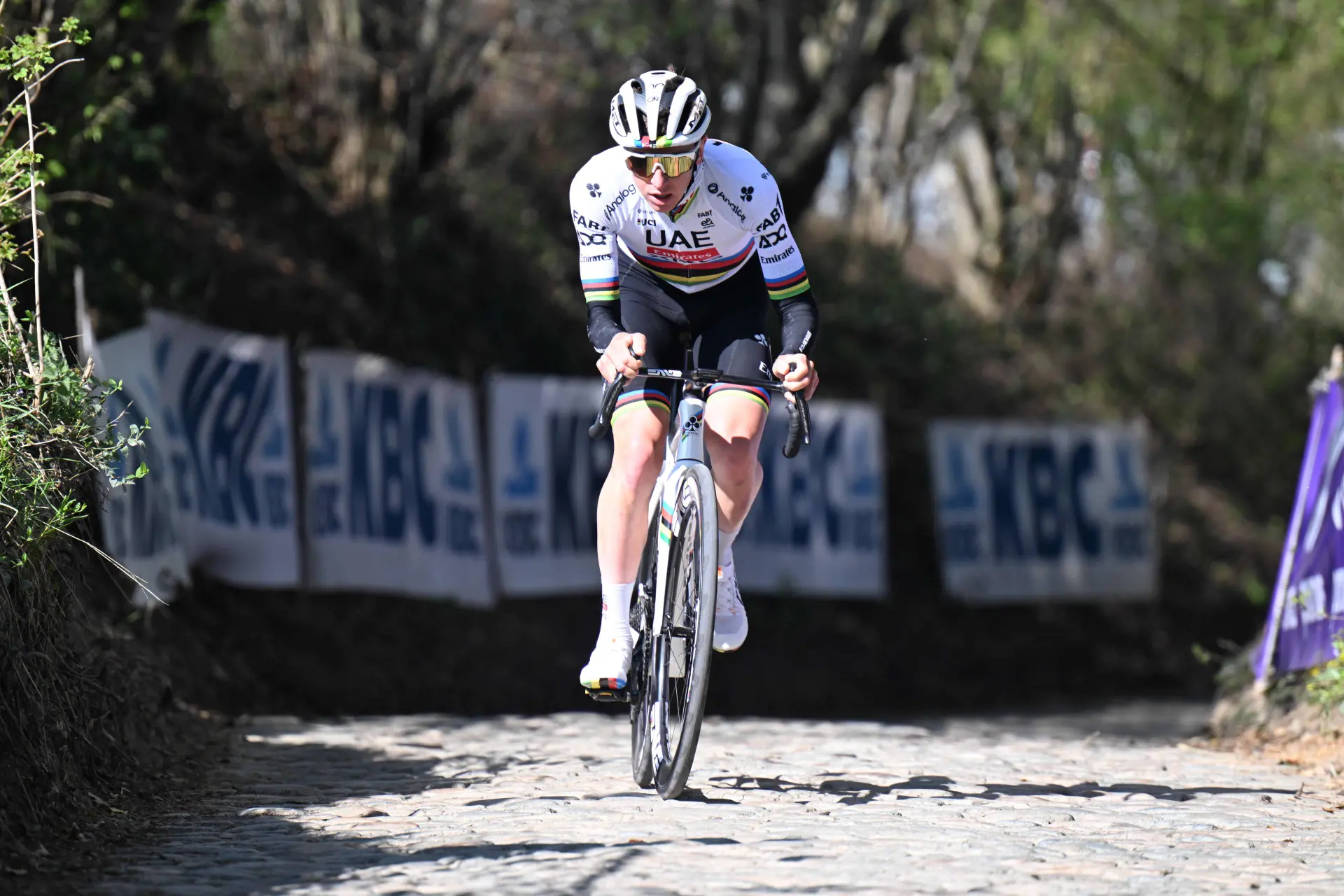Antonio Morgado, muy seguro de Pogacar para la París-Roubaix: "Tadej puede..."