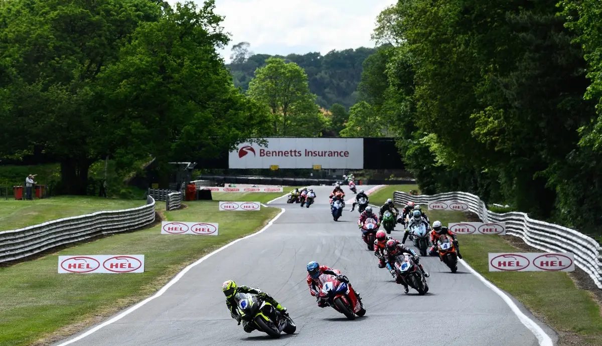 494822449 18324694579164675 8723810321407481012 n result