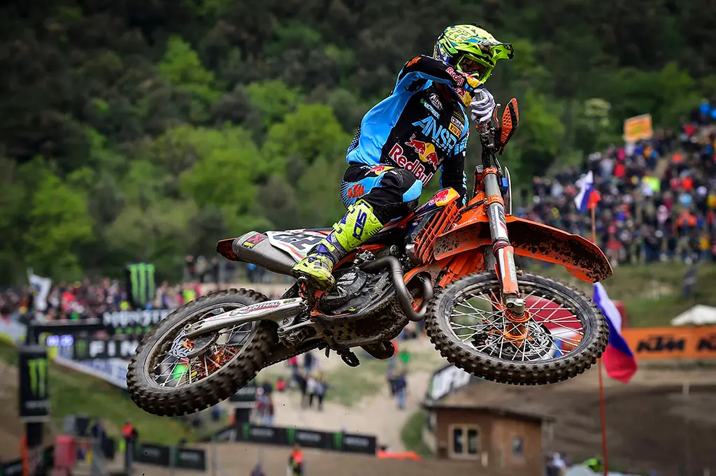 cover cairoli