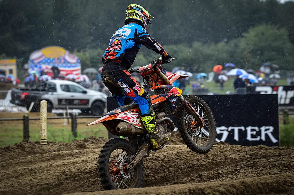 cover cairoli