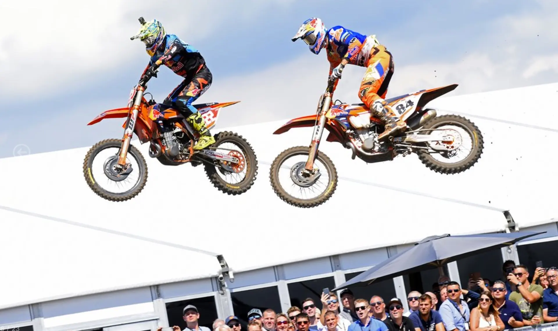 cover cairoli herlings