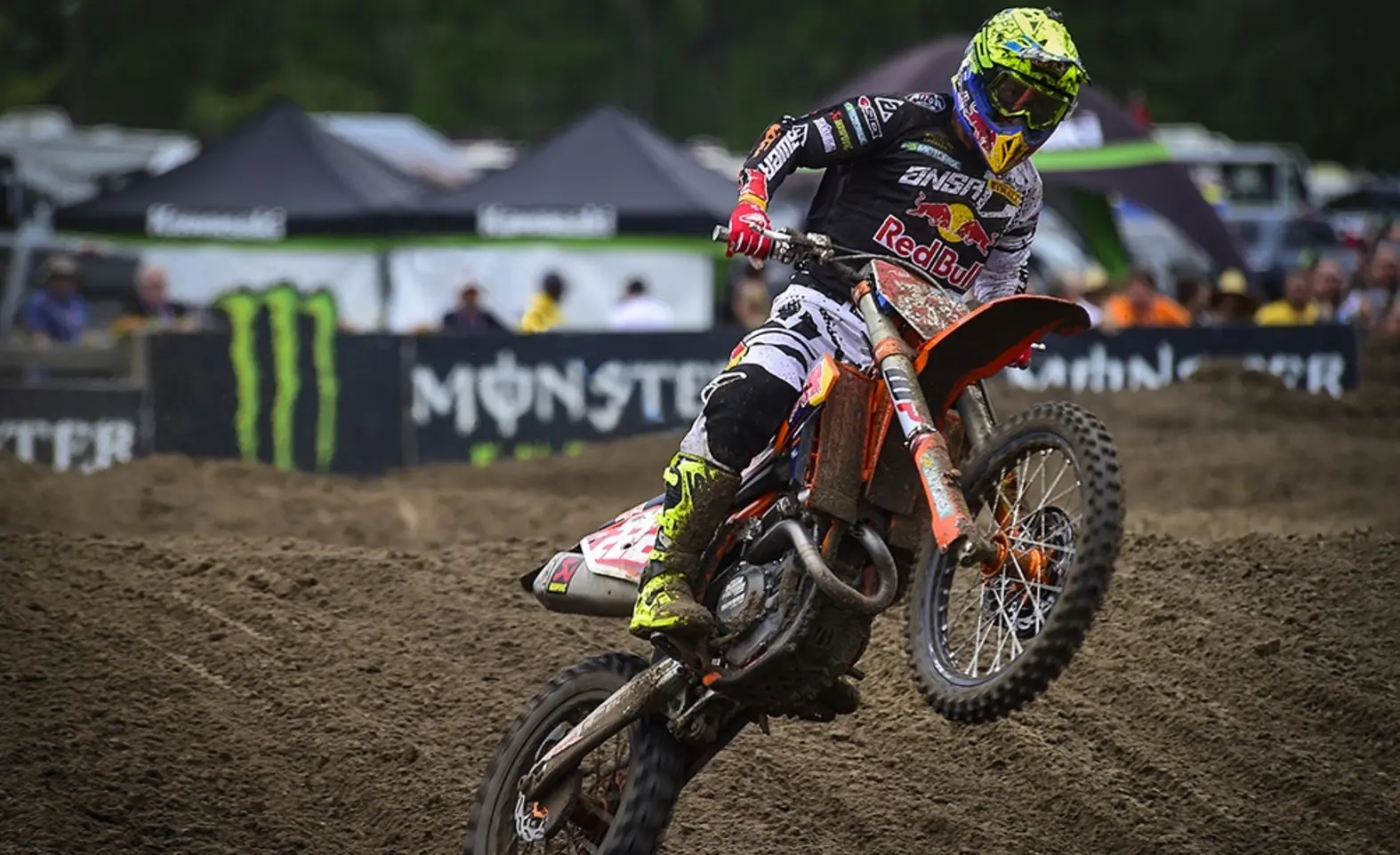 cover cairoli usa