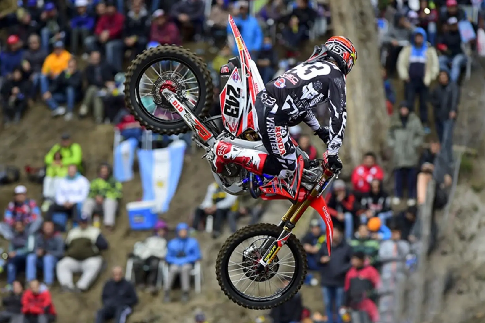 gajser