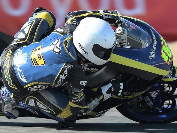 marinelarena