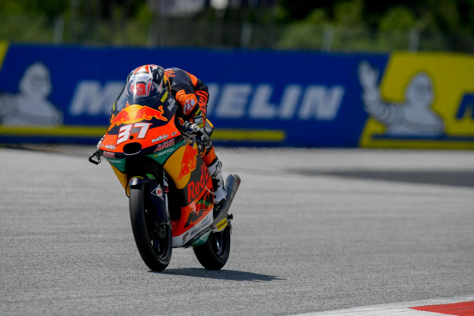 pedro acosta moto3