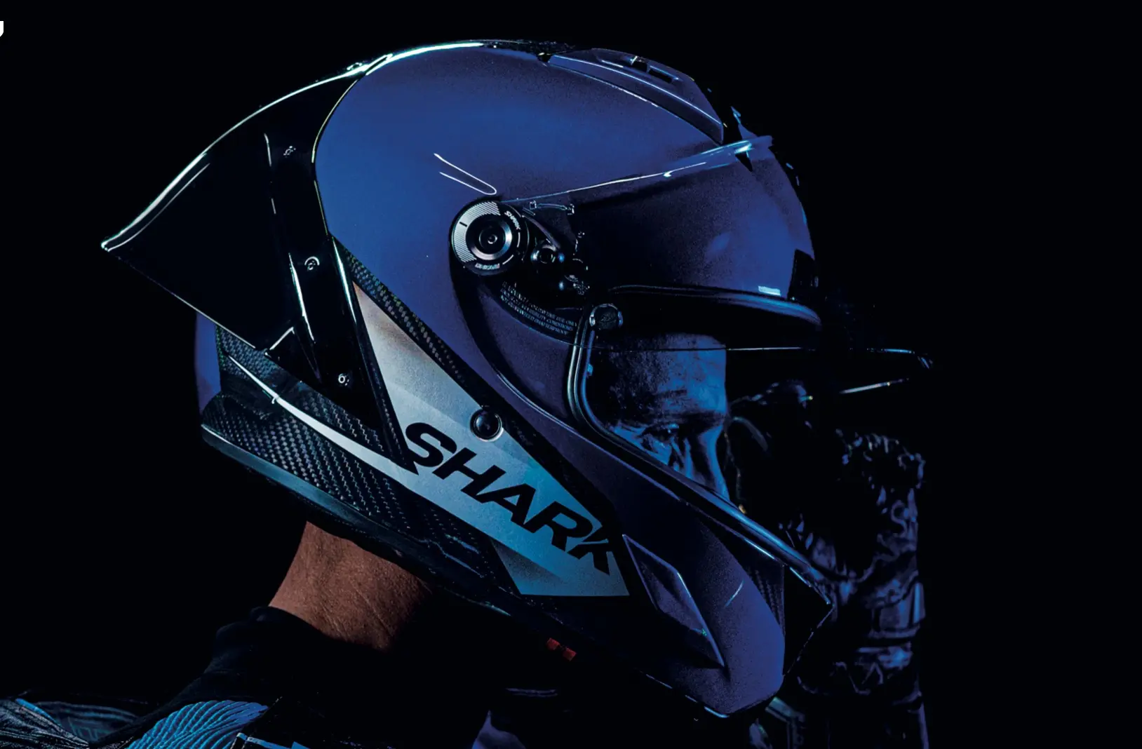 shark