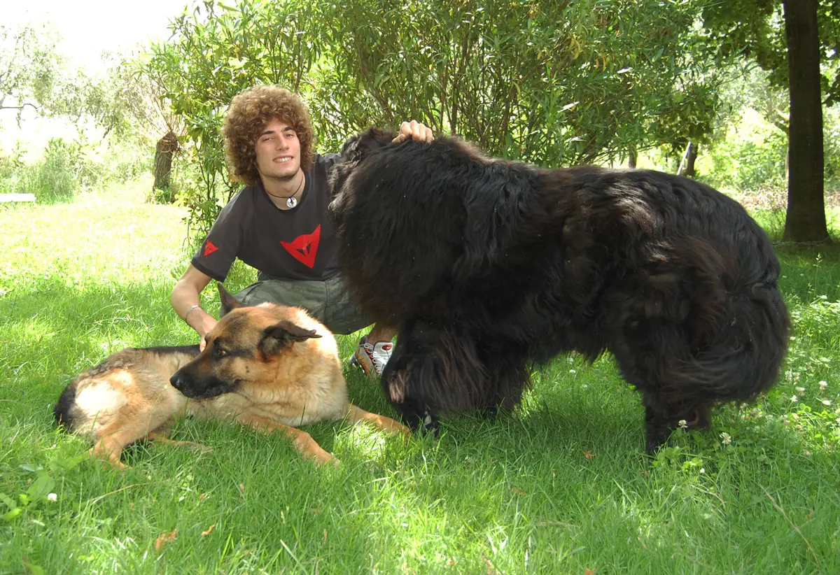 sic cane 1