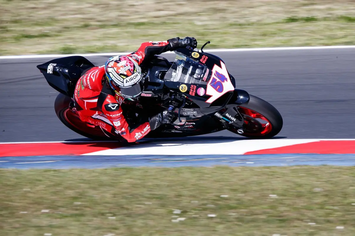 AN3I0351_result