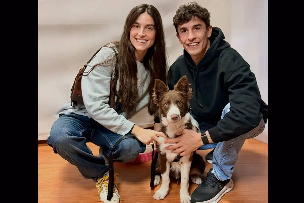 From the pit box to the kennel: Marc Marquez adopts a mixed-breed dog in Madrid, Tardozzi hails the gesture