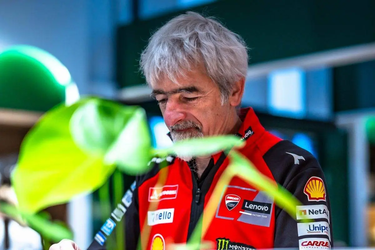 Disappointment at Ducati: Marc Marquez's shoulder remains a concern