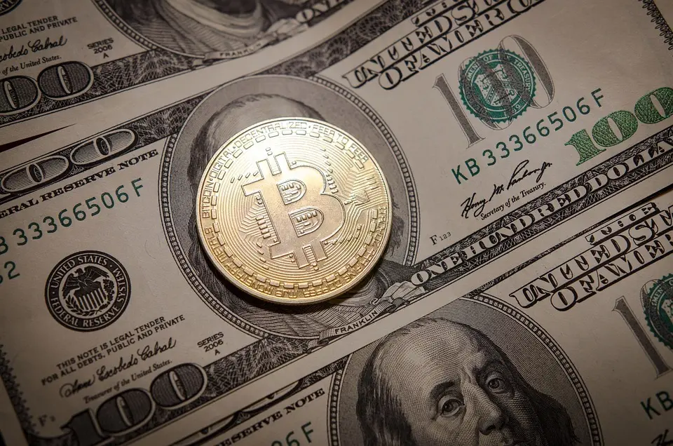 bitcoin dollar
