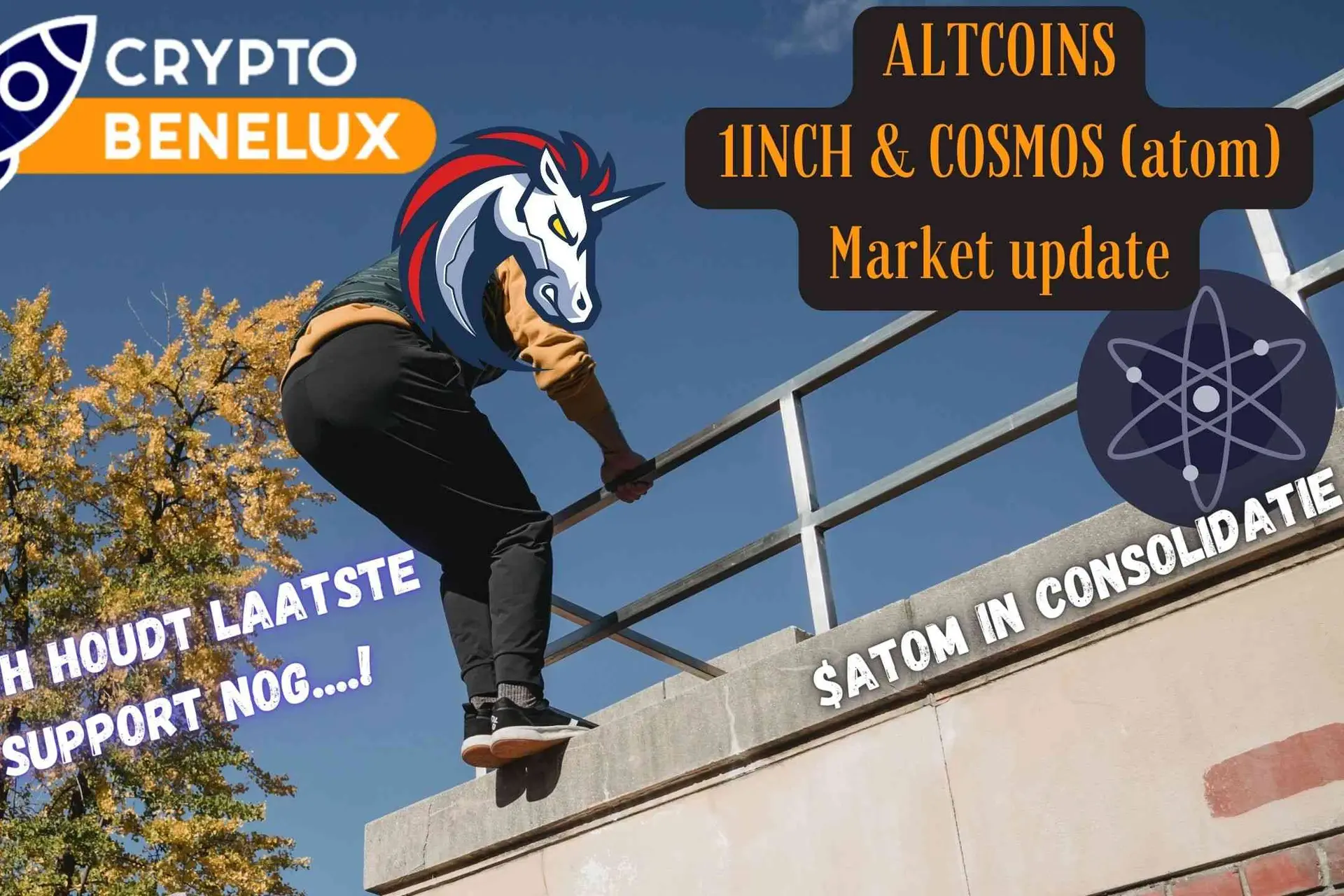 1inch en atom analyse