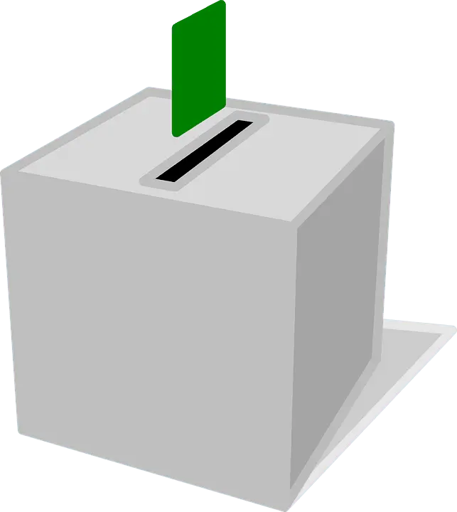 ballot 296577 960 720