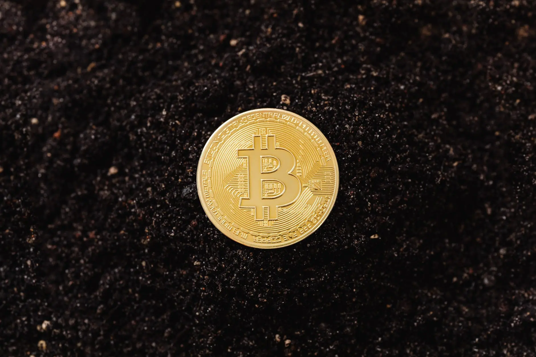 btc 6