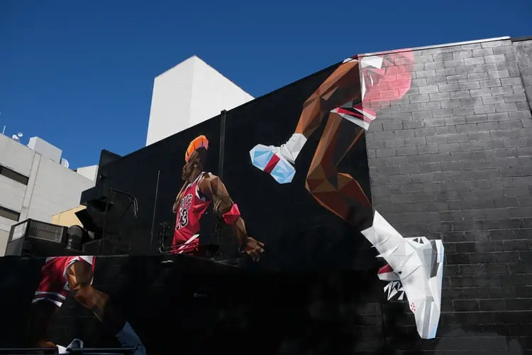 chicago bulls