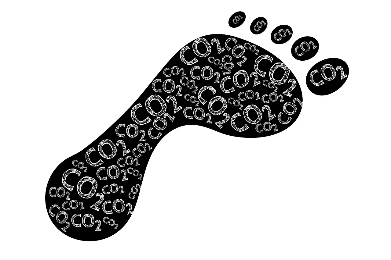 co2 footprint