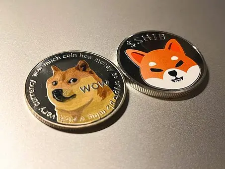 doge shib