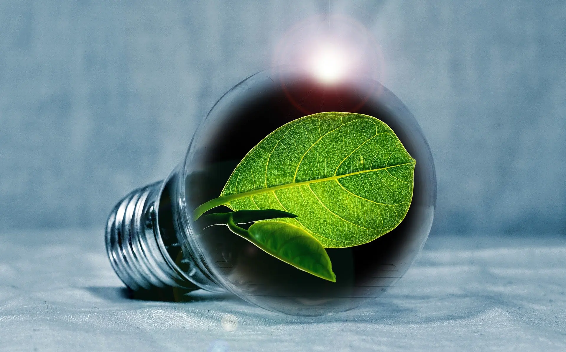 eco lightbulb