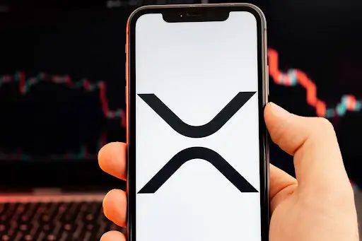 everlodge presale 2