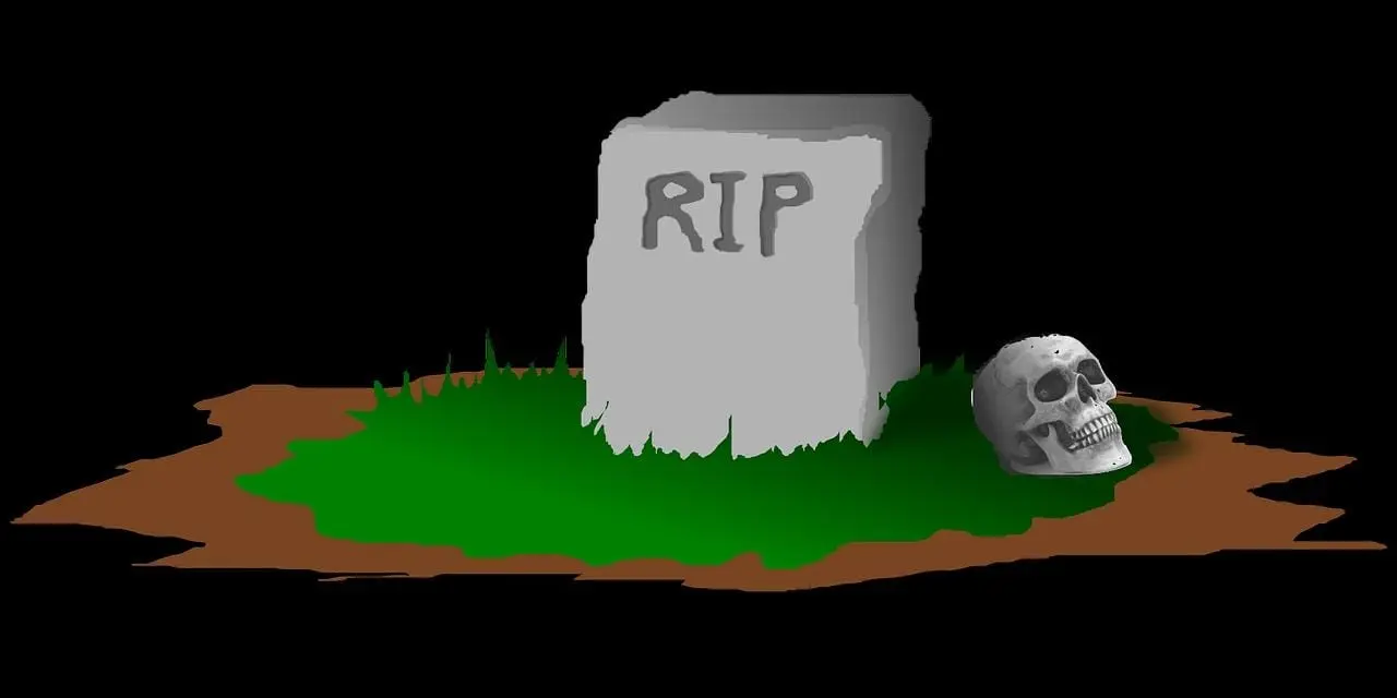 rip1