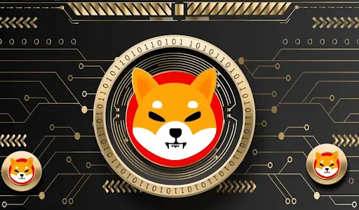 shiba inu