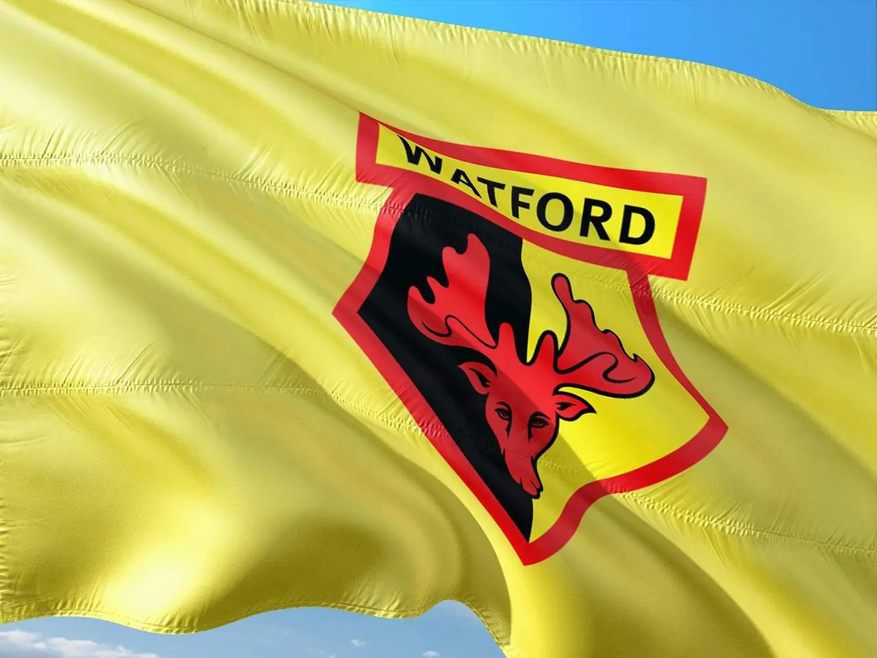 watford 1
