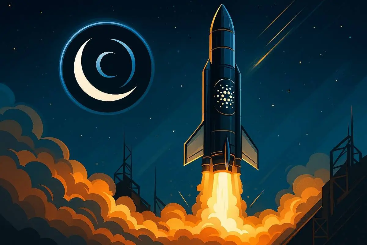 Cardano Midnight