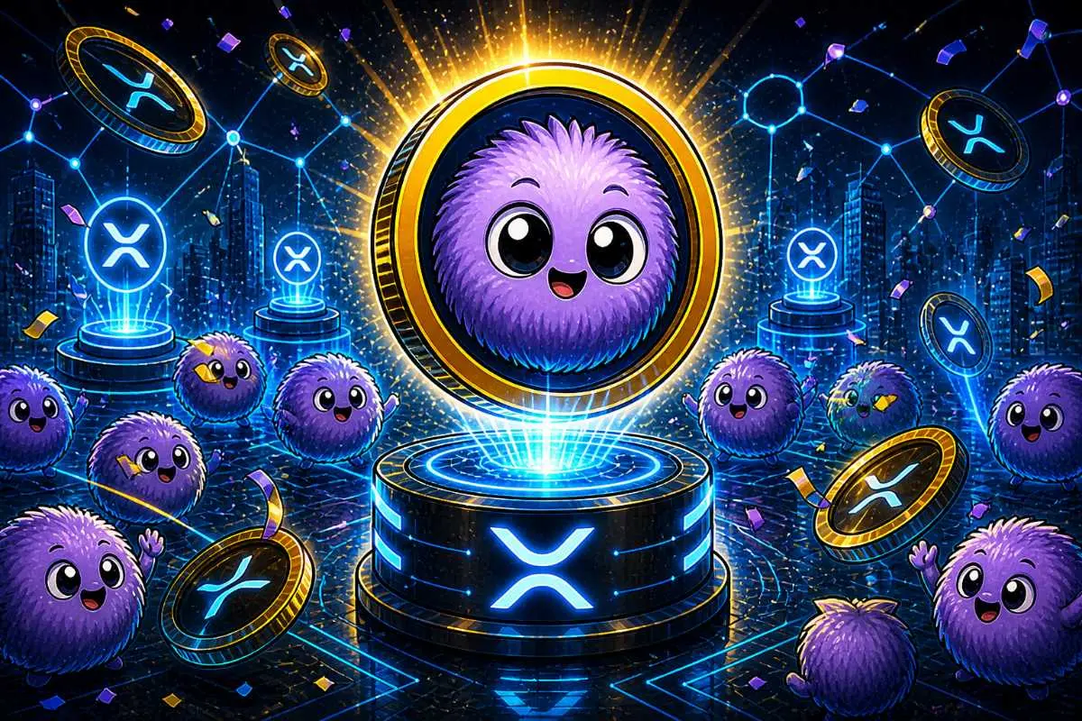 Memecoin XRP Ledger FUZZY