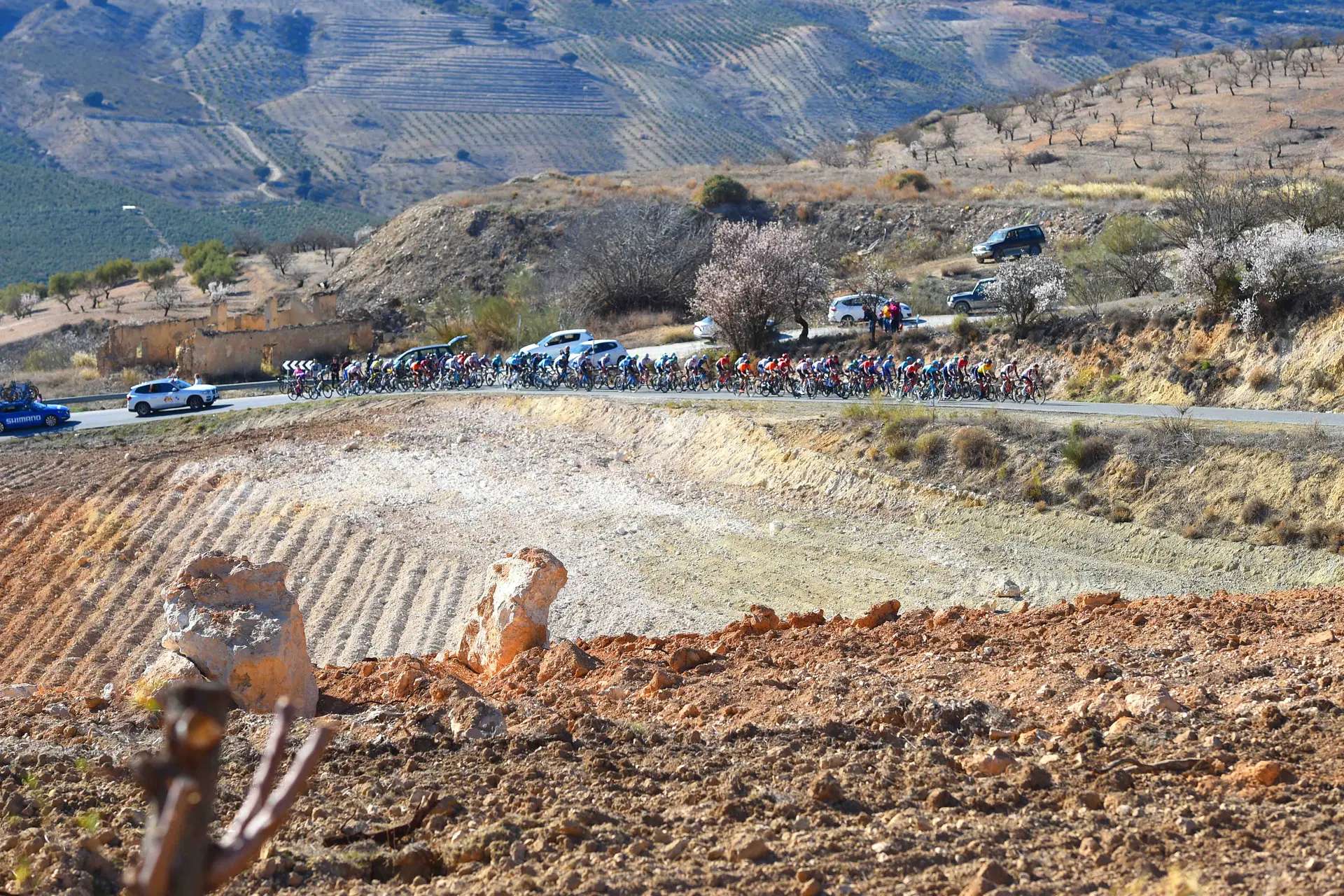 panorama tda 2022