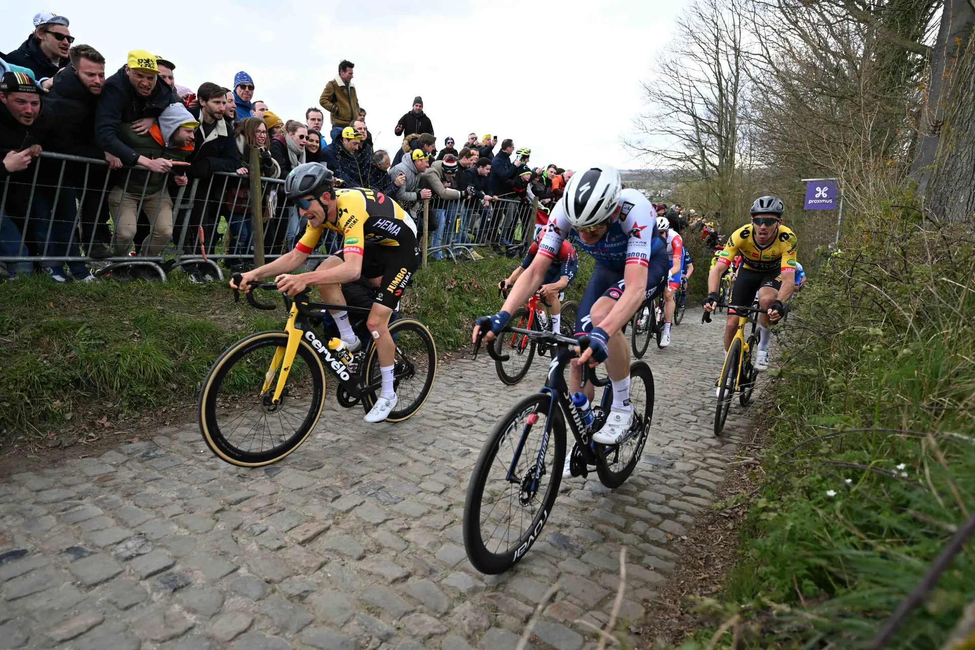 Quick-Step to "focus now on our future goals" after disappointing Tour des Flandres