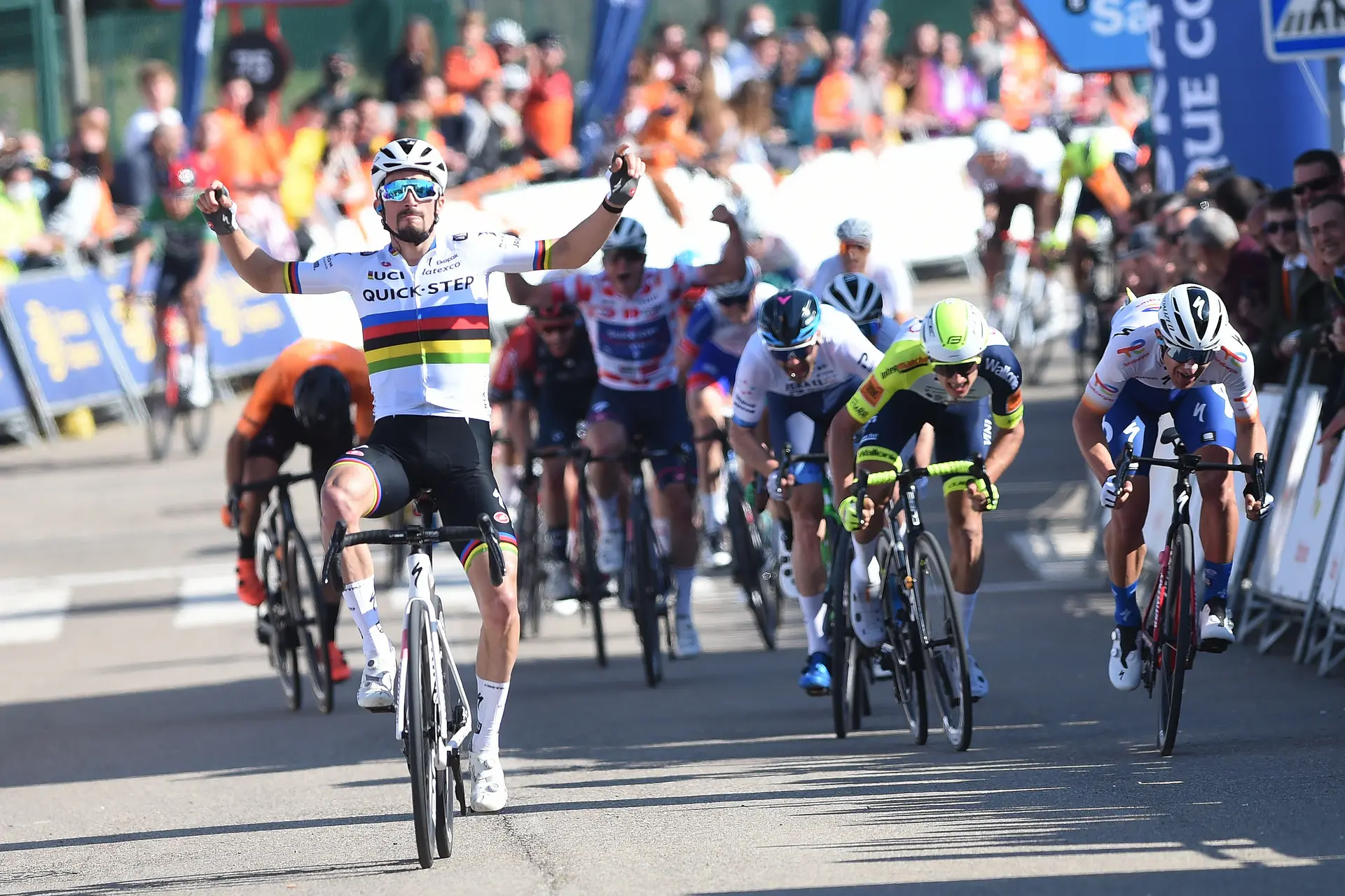 Everything about... Julian Alaphilippe - One of the last pure classics riders and double World Champion