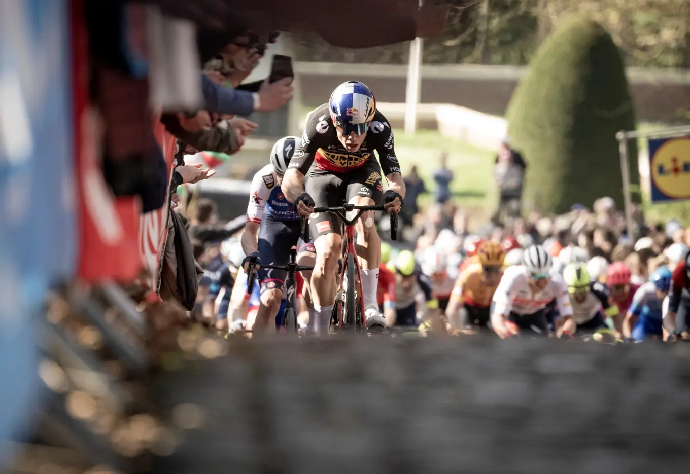 "Champions race for those kinds of records" - Boonen doubts Wout van Aert can achieve Belgian's spring classics record