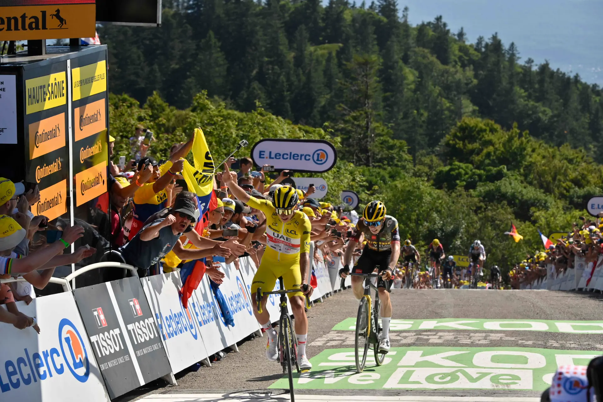 Everything about... Tadej Pogacar - The ultra-talented climber who revolutionized the Tour de France