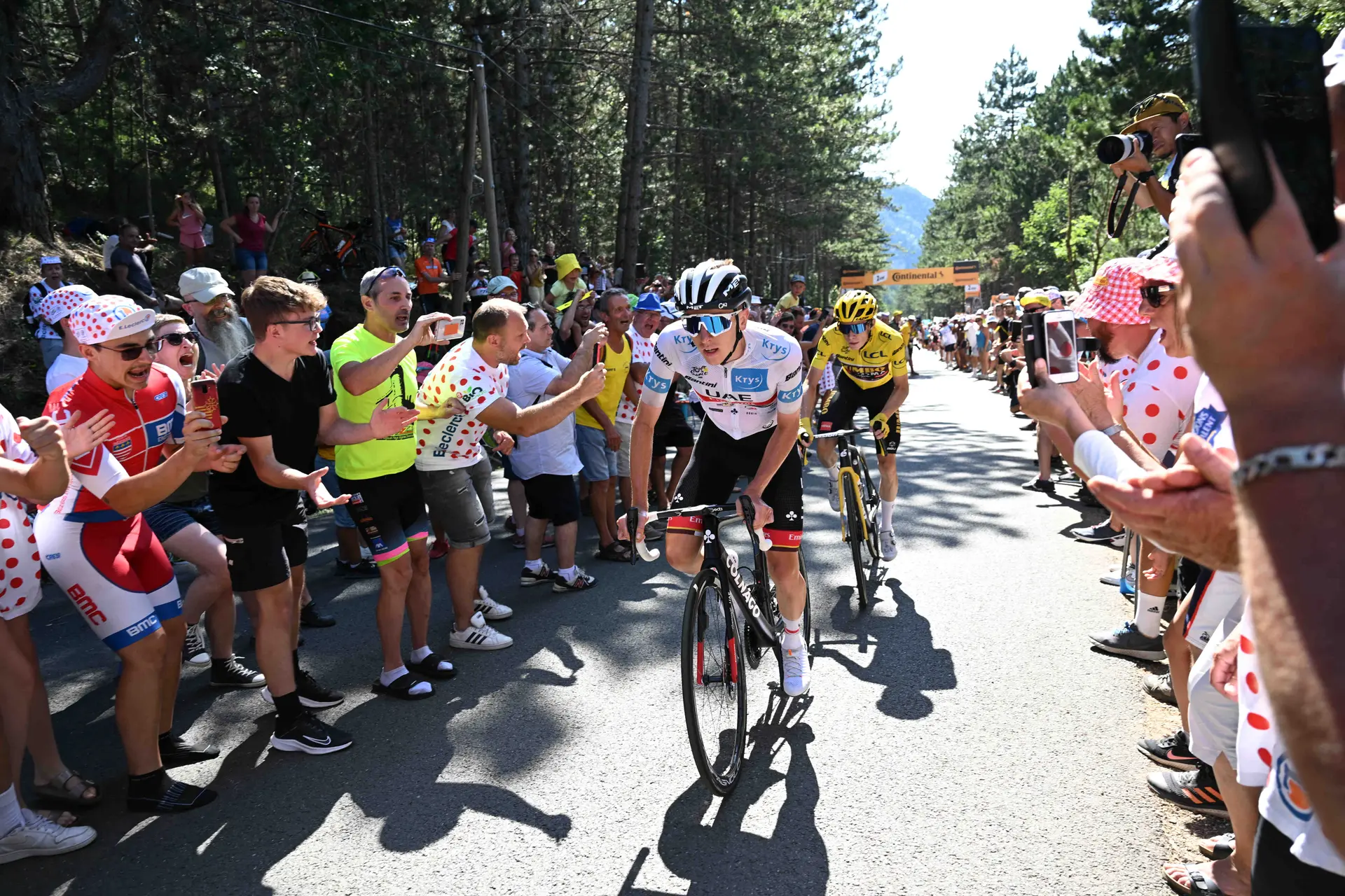 Dan Martin believes that "racing is quite boring to watch now"