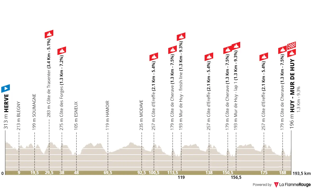 Profile & Route Flèche Wallone 2023
