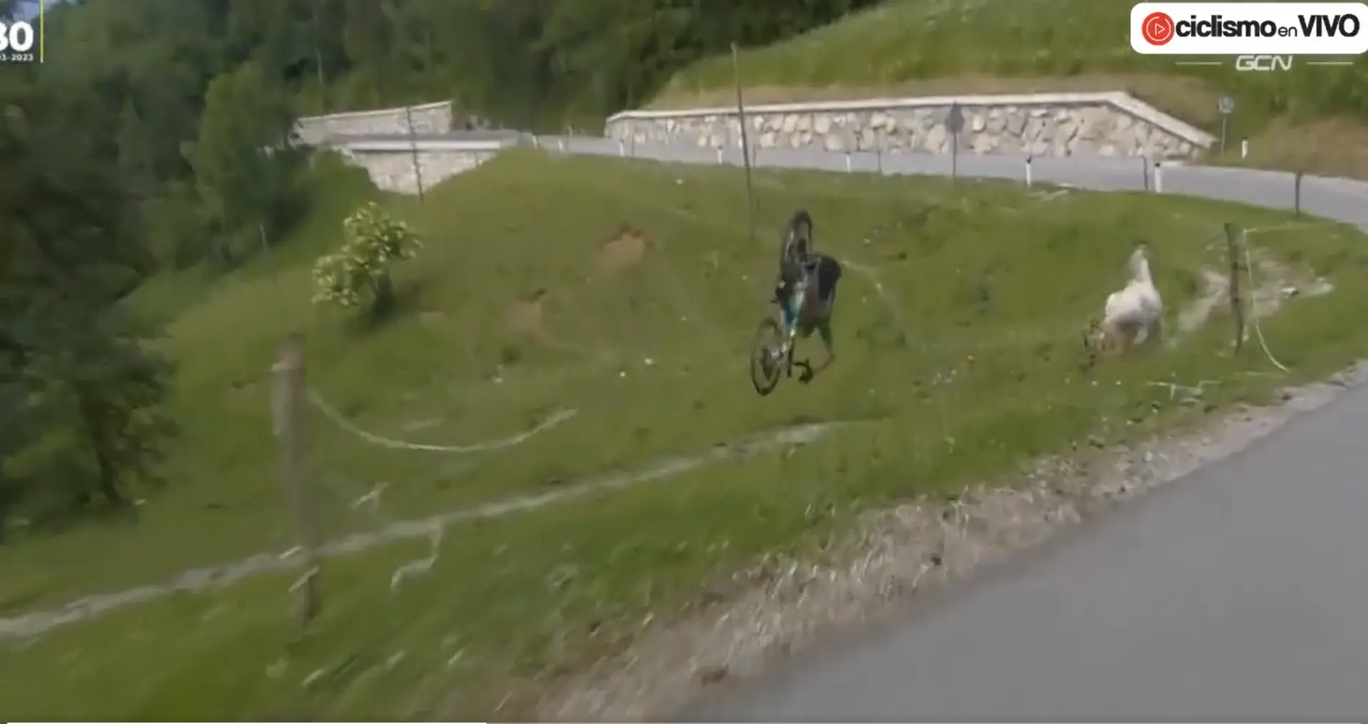 VIDEO: Filippo Zana sent somersaulting off road after overshooting corner on Tour of Slovenia descent