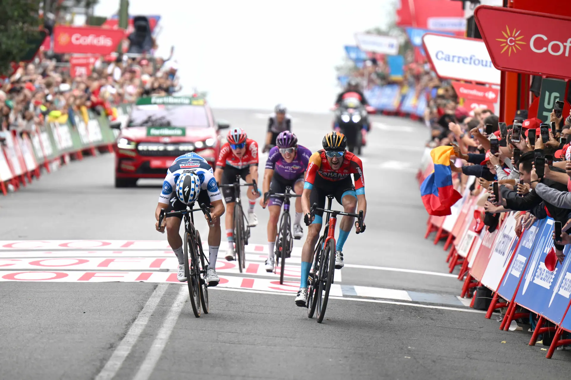 Wout Poels recorda a vitória na etapa da Vuelta  - "Vi a desilusão de Evenepoel. Foi muito fixe"