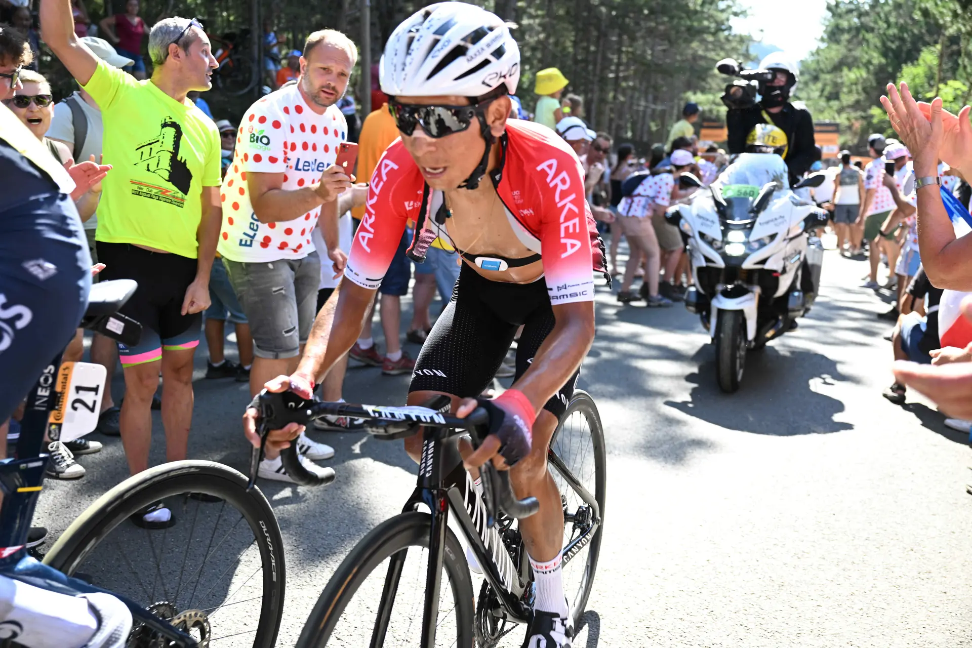 A UCI regista resultados positivos da sua campanha contra o Tramadol: "O consumo de Tramadol no ciclismo baixou de 6% para 0,2%"