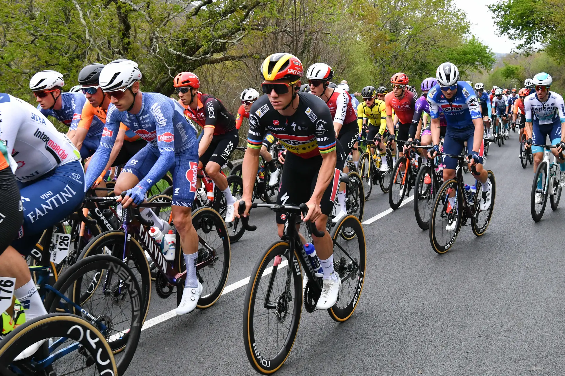Remco Evenepoel no bom caminho para a Volta a França, apesar das lesões sofridas na Volta ao País Basco: "Já me sinto um pouco melhor"