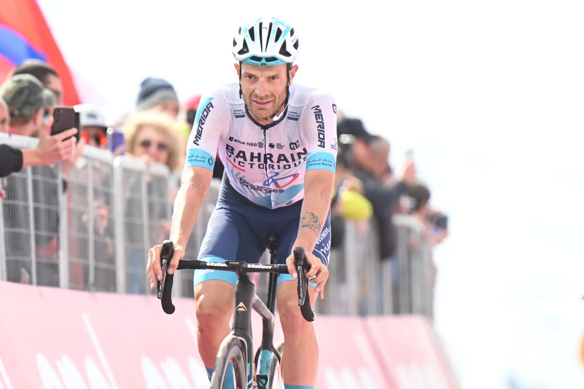 Damiano Caruso expects great things from teammate at Giro d'Italia: "I have promised him a statue if he wins"