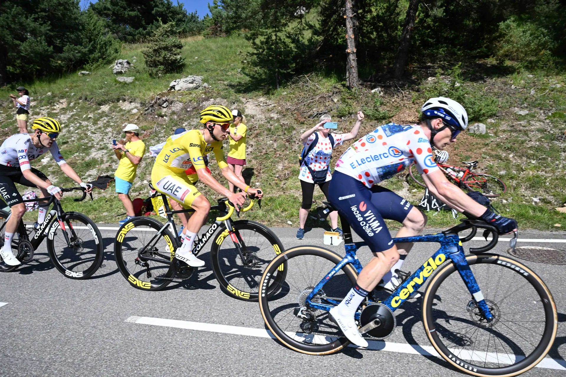 Ex-vencedor do Tour e compatriota de Vingegaard considera que a Emirates vai dominar o Tour em 2025: "Pogacar melhorou muito este ano"