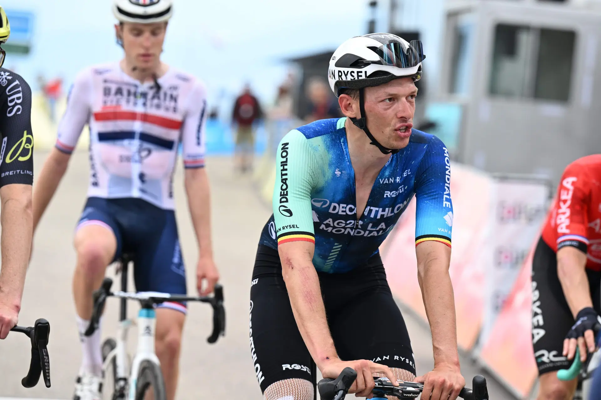 Oliver Naesen fala das clássicas e da ascensão da equipa Decathlon AG2R La Mondiale: "Peter Sagan, Mathieu van der Poel, Wout van Aert, encontrei sempre alguém mais forte"