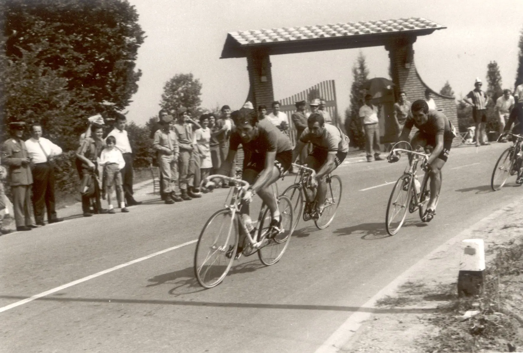 Morreu Rik van Looy (90 anos) - O ciclista belga venceu os cinco monumentos, ganhou 37 etapas nas três Grandes Voltas e foi duas vezes campeão do mundo