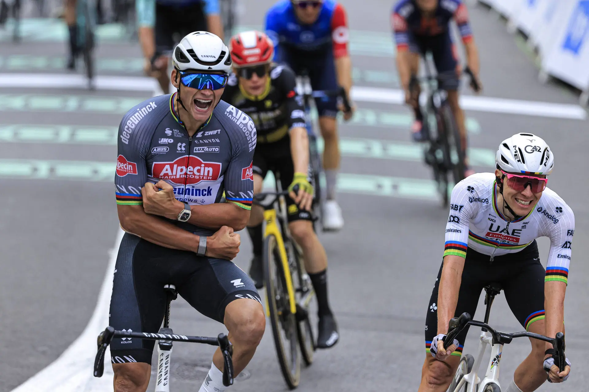 Análise da época de 2025 - Alpecin-Deceuninck: A glória nos monumentos e Mathieu van der Poel brilha finalmente na Volta a França