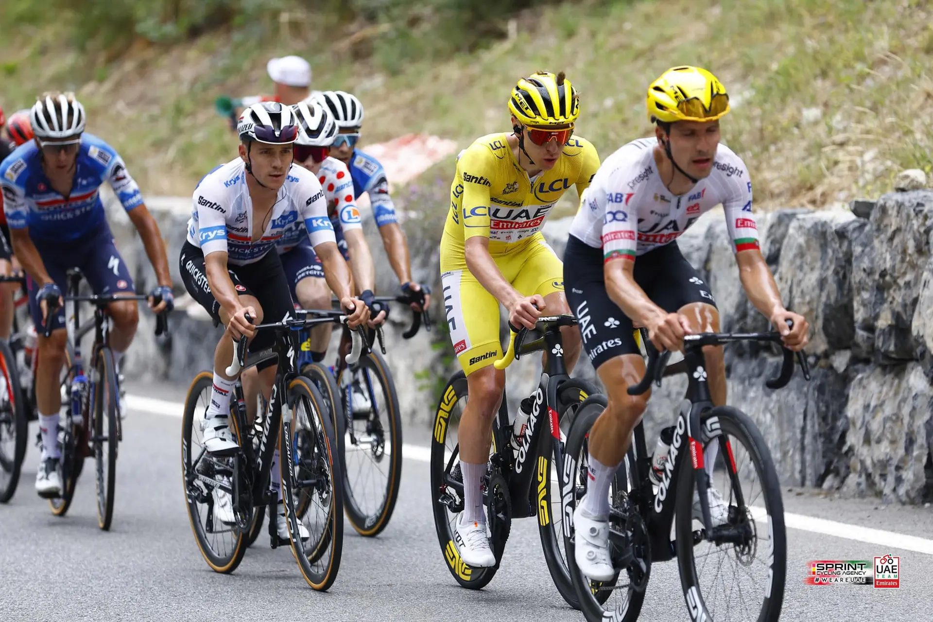 Arranca o espetáculo: onde vão estrear-se Pogacar, Vingegaard, João Almeida, Evenepoel, Isaac del Toro... em 2026