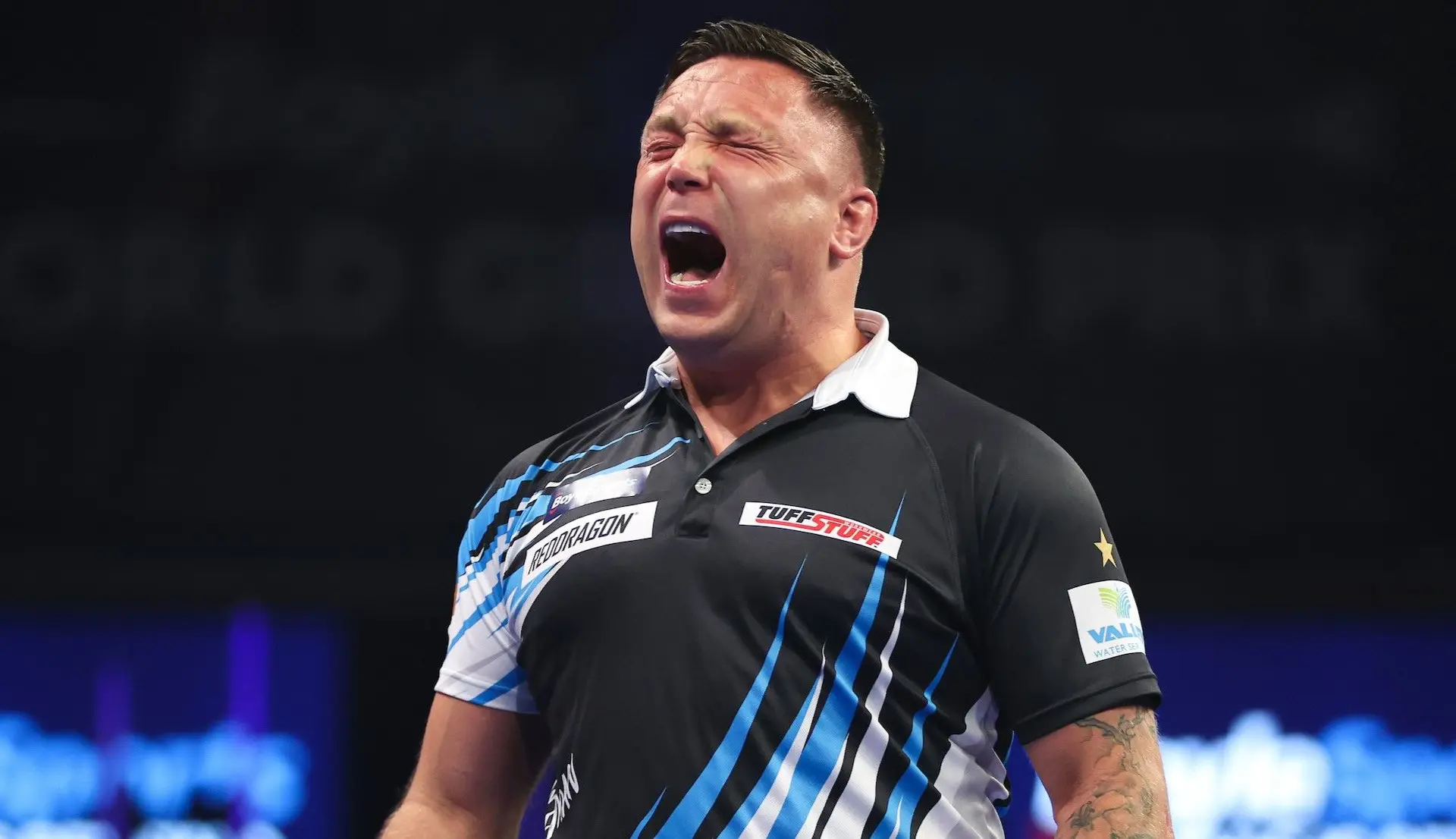 gerwyn price 2