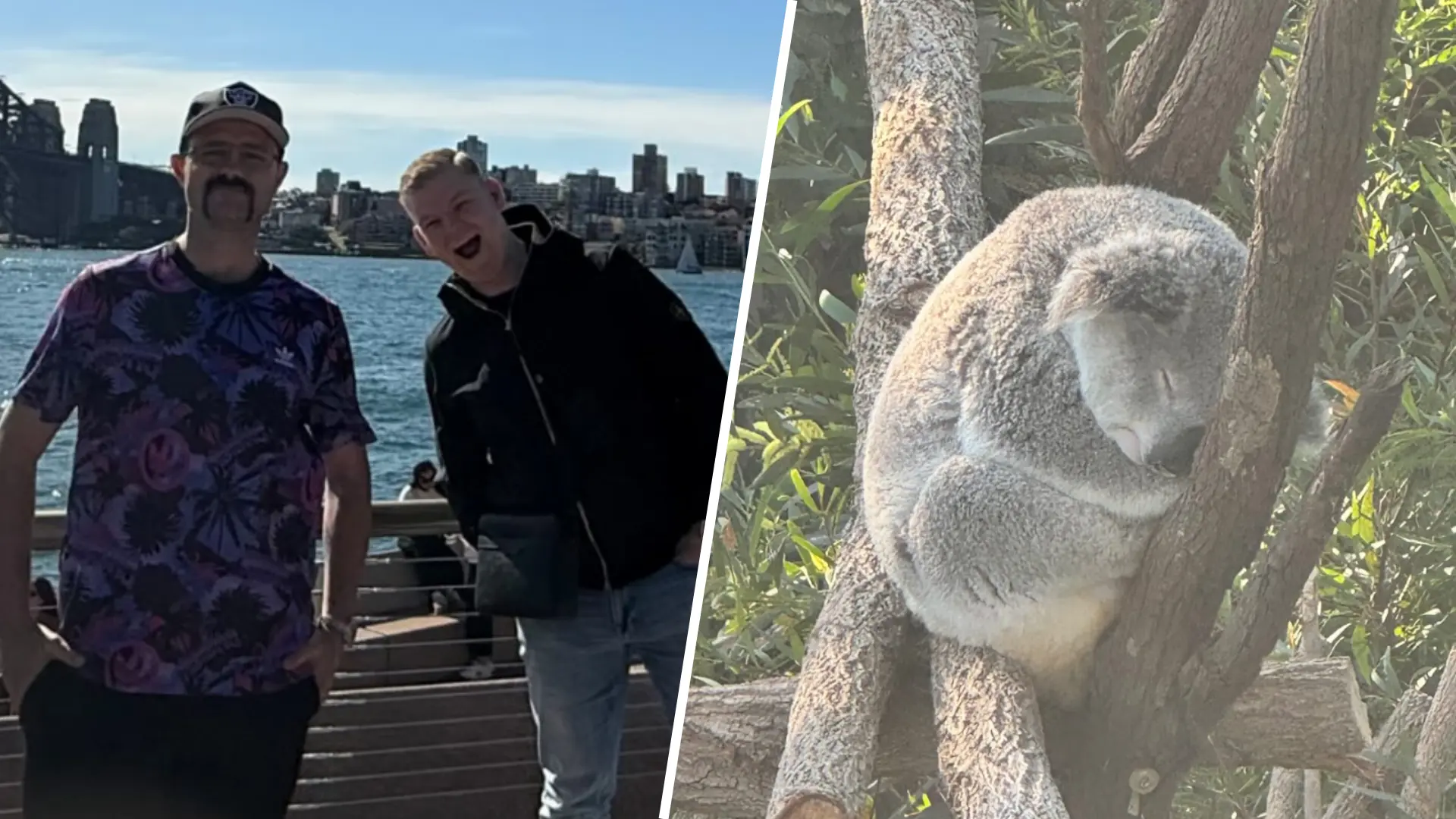 Koala's, Zeehonden en Darts: Mike De Decker geniet Down Under in aanloop naar Australian Darts Masters