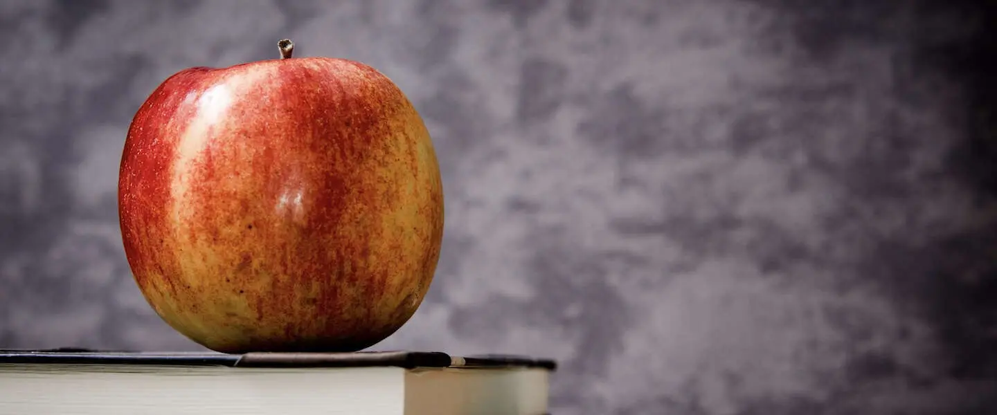 apple searchengine 1