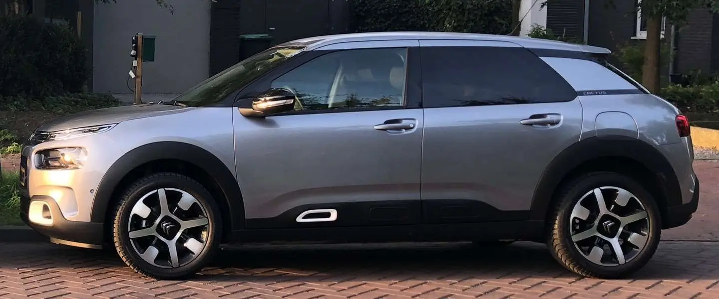 c4 cactus 2018 test