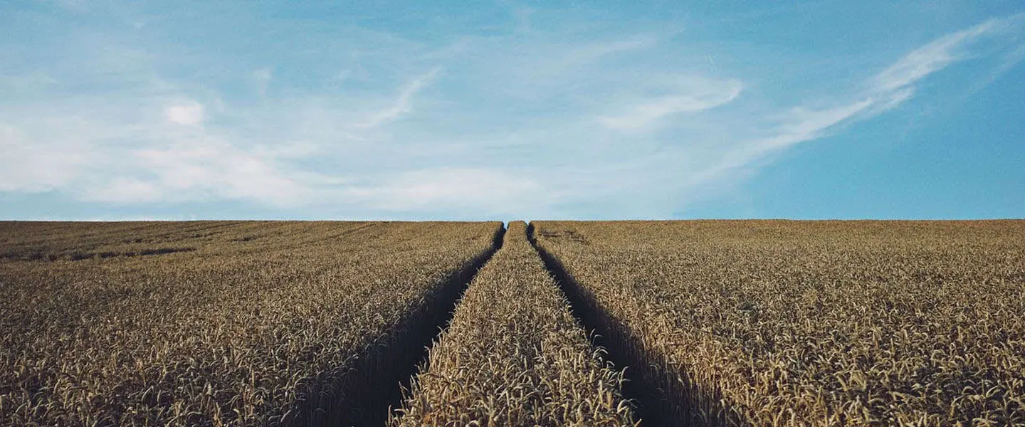 Google, Facebook en Apple denken aan de Dag van de Aarde #EarthDay